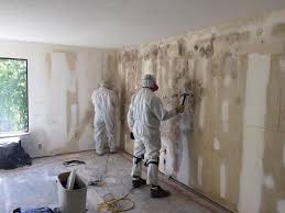 Santa Claus, IN Mold Removal Company